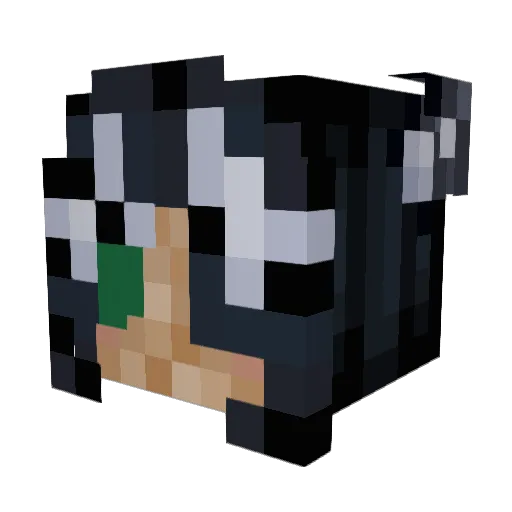 Kraykillman Minecraft avatar head, 3D render