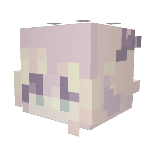 KrazyWolf888 Minecraft avatar head, 3D render