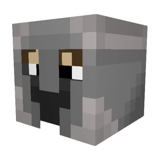 Krazykoala101 Minecraft avatar head, 3D render