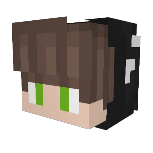 Krbsi Minecraft avatar head, 3D render