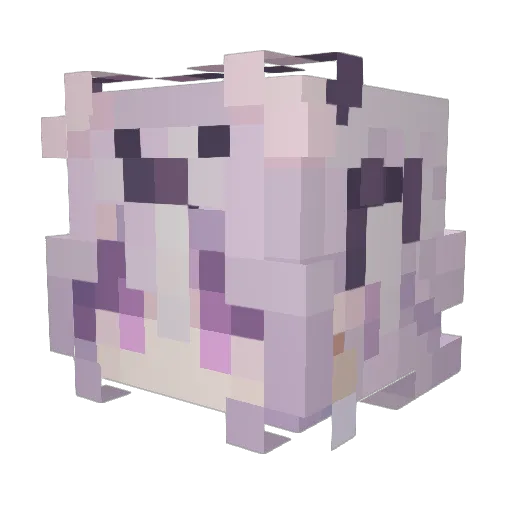 Krebsendstadium Minecraft avatar head, 3D render