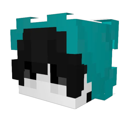 Krecikdomdom Minecraft avatar head, 3D render