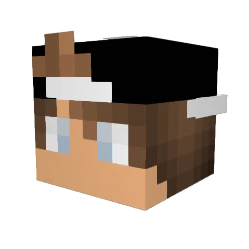 Kreciorek_ Minecraft avatar head, 3D render