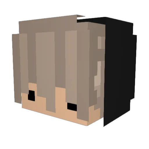 Kred1tkarte Minecraft avatar head, 3D render