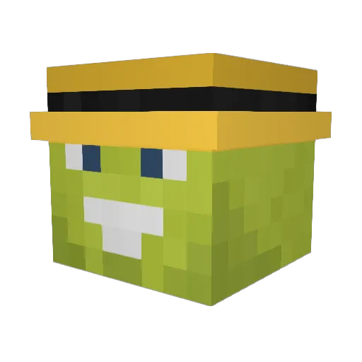 Kreeger Minecraft avatar head, 3D render