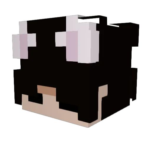 KreeperKaitlin Minecraft avatar head, 3D render