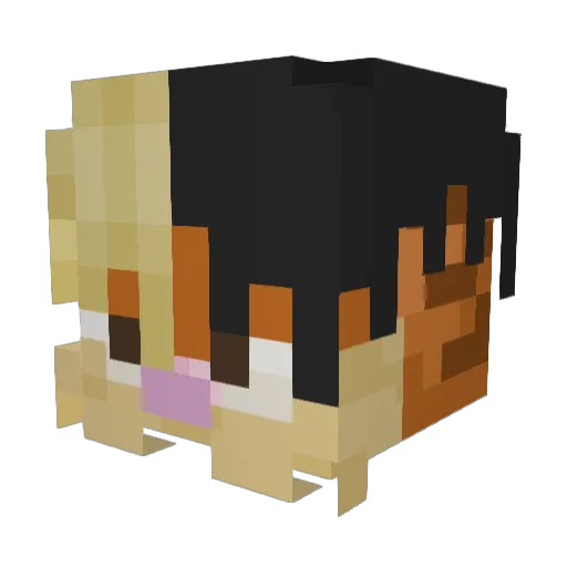 Kreepz_ Minecraft avatar head, 3D render