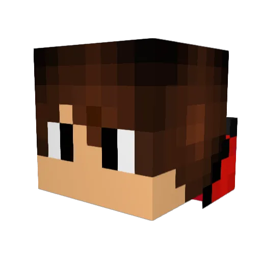 Krelix1102 Minecraft avatar head, 3D render