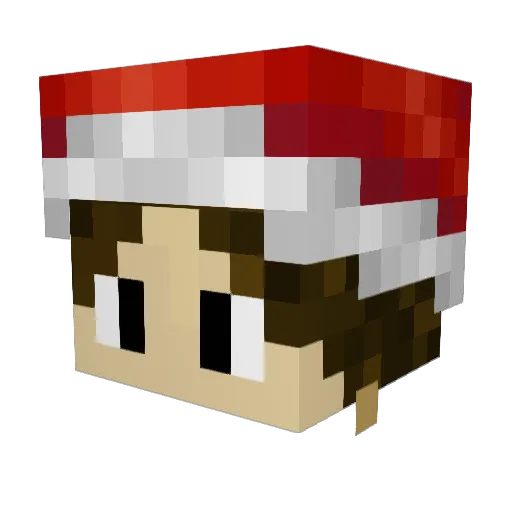 Krhy12 Minecraft avatar head, 3D render