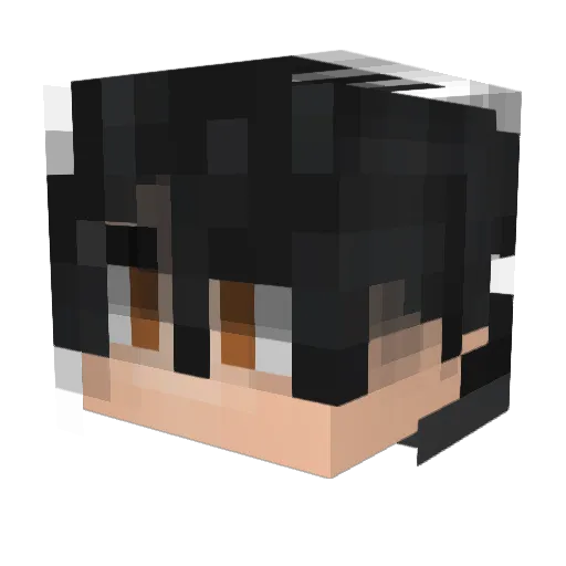 Krider_ Minecraft avatar head, 3D render