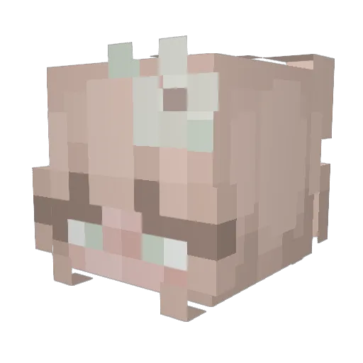 Kriggsss Minecraft avatar head, 3D render