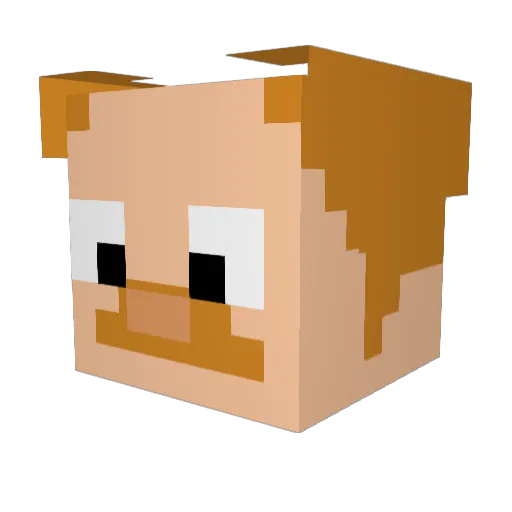 KringleKirby Minecraft avatar head, 3D render