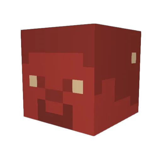 Kringle__ Minecraft avatar head, 3D render