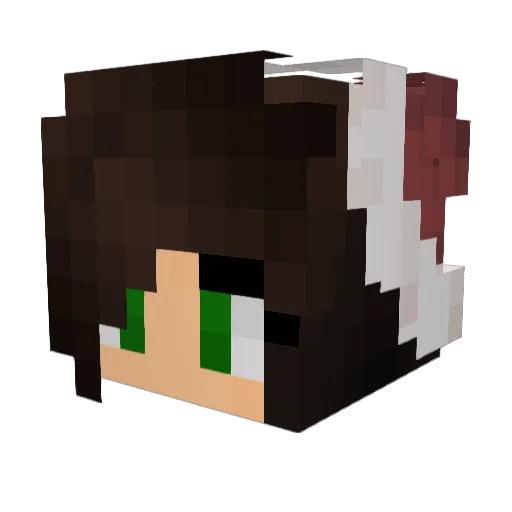 Kriperka Minecraft avatar head, 3D render