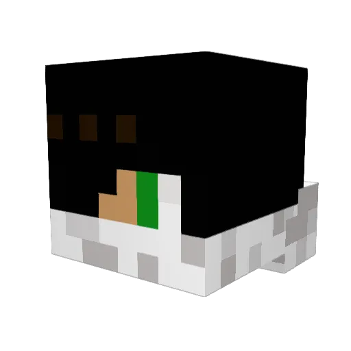 Kripke04 Minecraft avatar head, 3D render