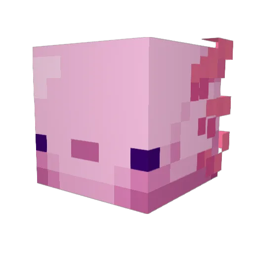 Kripsolotl Minecraft avatar head, 3D render