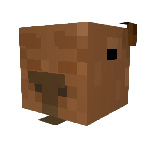Kris_926 Minecraft avatar head, 3D render