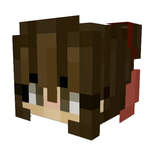 Kriscross77 Minecraft avatar head, 3D render