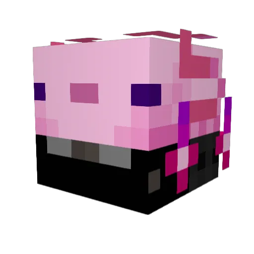 Krishy69671 Minecraft avatar head, 3D render