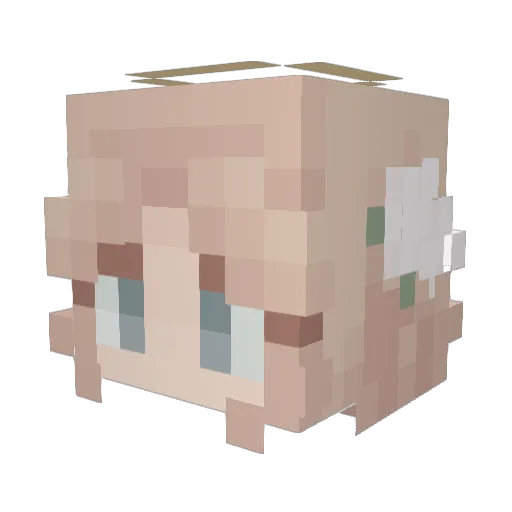 Krispy369 Minecraft avatar head, 3D render