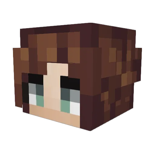 KrissIsntCross Minecraft avatar head, 3D render