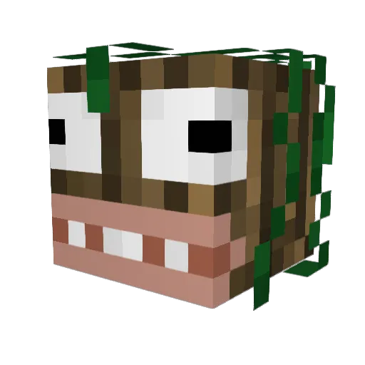 Kriss_05 Minecraft avatar head, 3D render