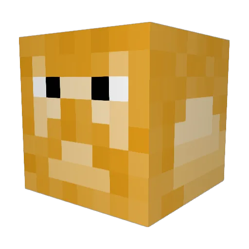 Kristen502 Minecraft avatar head, 3D render