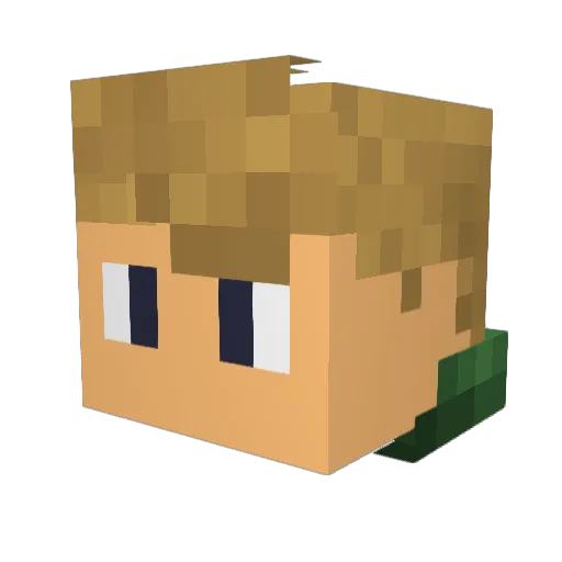 Kristian16 Minecraft avatar head, 3D render