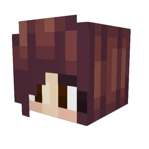 Kristoflarp Minecraft avatar head, 3D render