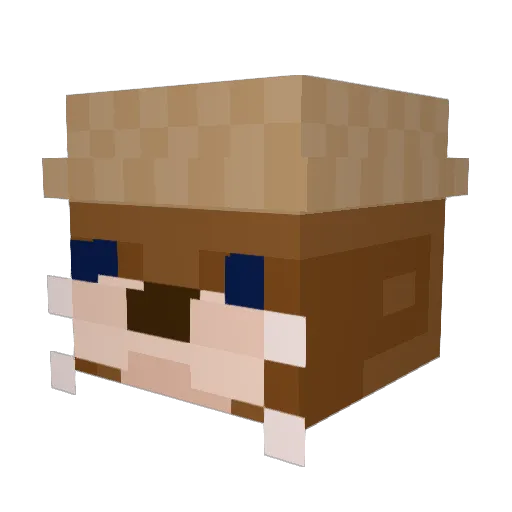 Kristupus Minecraft avatar head, 3D render