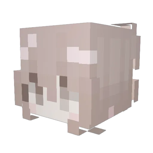 Kristy566 Minecraft avatar head, 3D render