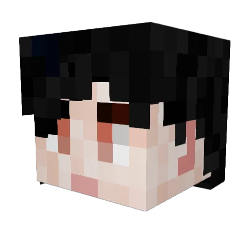 Kritty02 Minecraft avatar head, 3D render