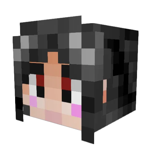 Kritzinger Minecraft avatar head, 3D render