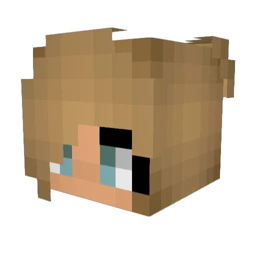 KrocKiller Minecraft avatar head, 3D render