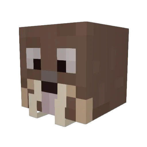 Krocodile750 Minecraft avatar head, 3D render