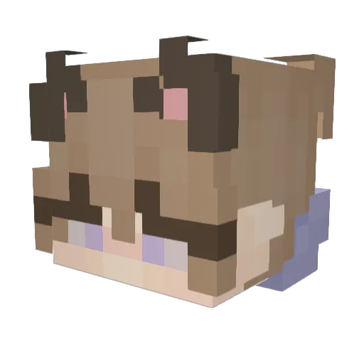 Krodan08 Minecraft avatar head, 3D render