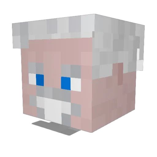 Krokodiles Minecraft avatar head, 3D render