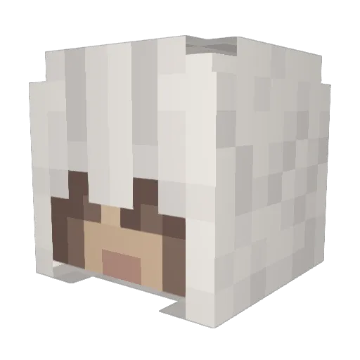 KromaFTW Minecraft avatar head, 3D render