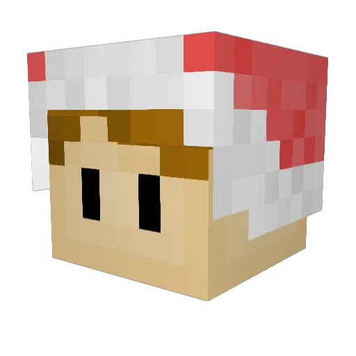 Kronze35 Minecraft avatar head, 3D render