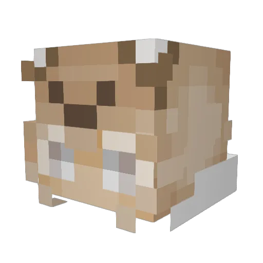 KroolBug Minecraft avatar head, 3D render