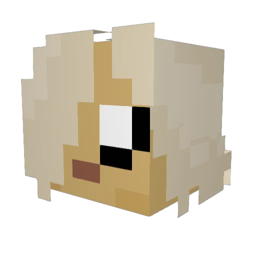 Kroooss Minecraft avatar head, 3D render