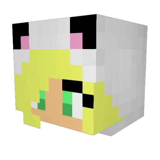 Krootrea Minecraft avatar head, 3D render