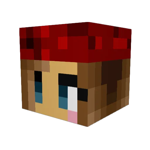 Krosit Minecraft avatar head, 3D render