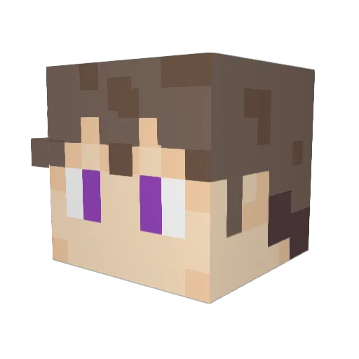 Krow72 Minecraft avatar head, 3D render