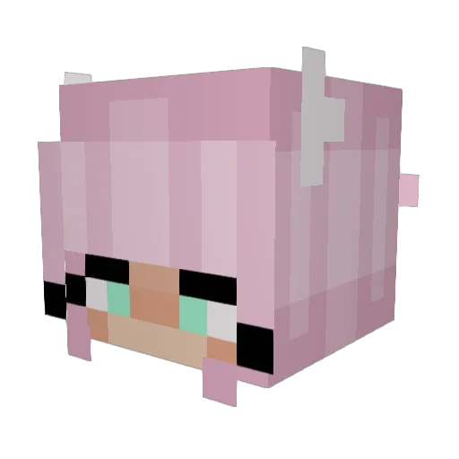 Krowand_co Minecraft avatar head, 3D render