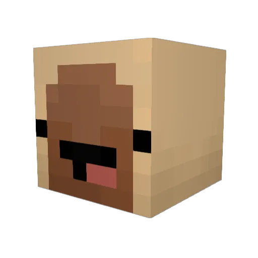 KruAssan9791 Minecraft avatar head, 3D render
