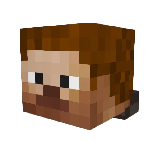 Kruchy13 Minecraft avatar head, 3D render