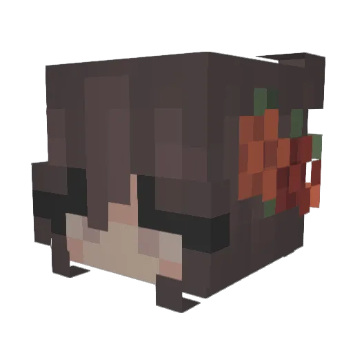 Krufka666 Minecraft avatar head, 3D render