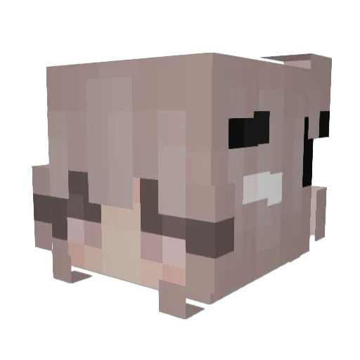 Kruid Minecraft avatar head, 3D render