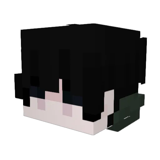 Kruids Minecraft avatar head, 3D render